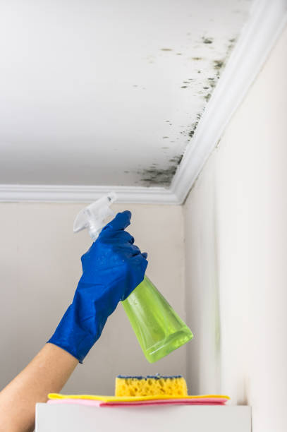 Best Water Damage Restoration  in Cascades, VA