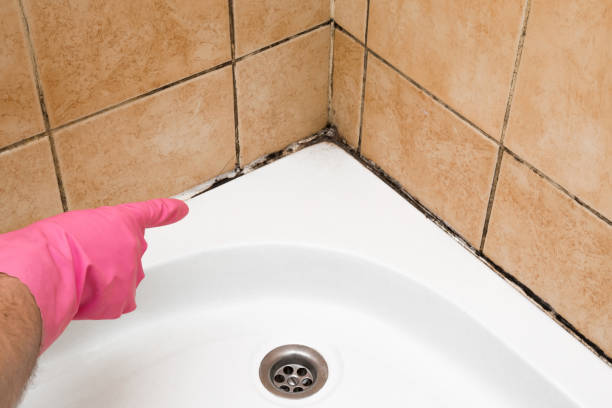 Best Affordable Mold Removal  in Cascades, VA